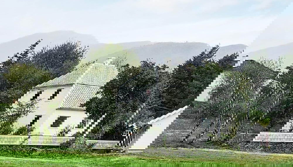 Primary image
