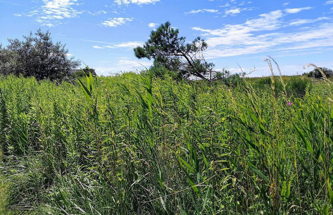 5 Person Holiday Home in Karrebaeksminde - Foto 12