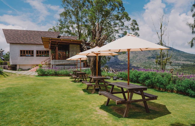 Alam Caldera Camp & Resto - Foto 69