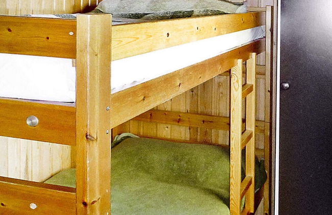 4 Person Holiday Home in Holmsjo - Foto 8