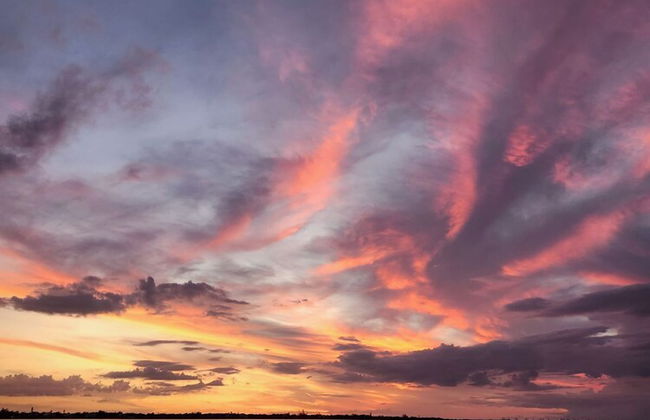 Paradise Cove at Lemon Bay - Foto 61