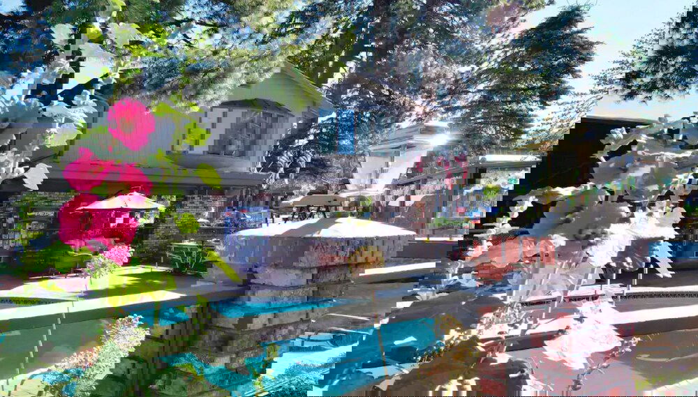 Image principale