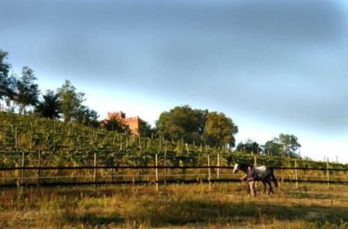 Photo 19 - La Cascina del Castello