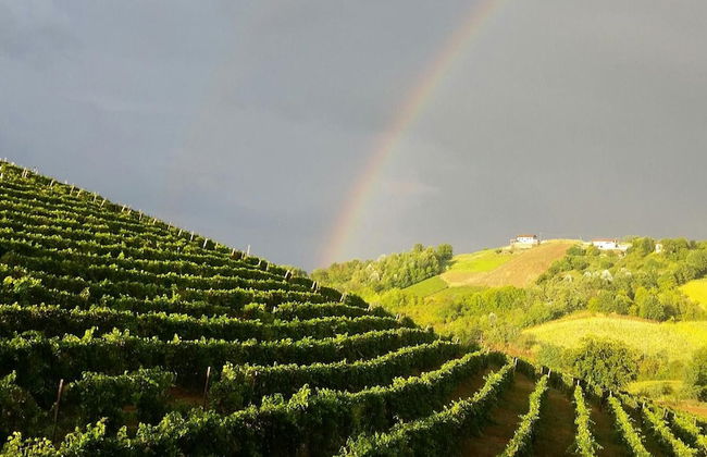 La Cascina del Castello - Foto 17