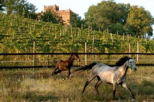 Photo 20 - La Cascina del Castello