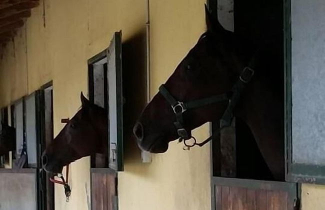 La Cascina del Castello - Foto 15