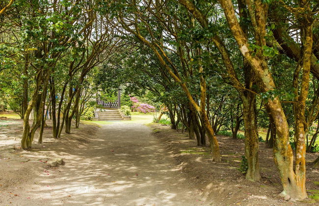 Casa dos Barcos Furnas - Photo 41