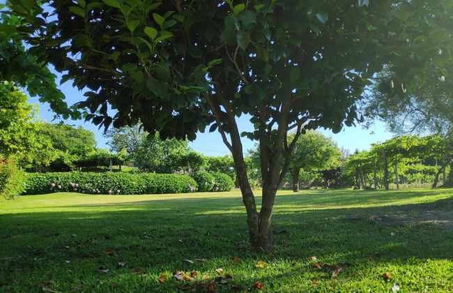 Casas da Quinta da Cancela - Foto 38