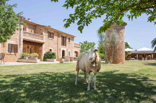 Photo 37 - Agroturismo Es Quatre Cantons