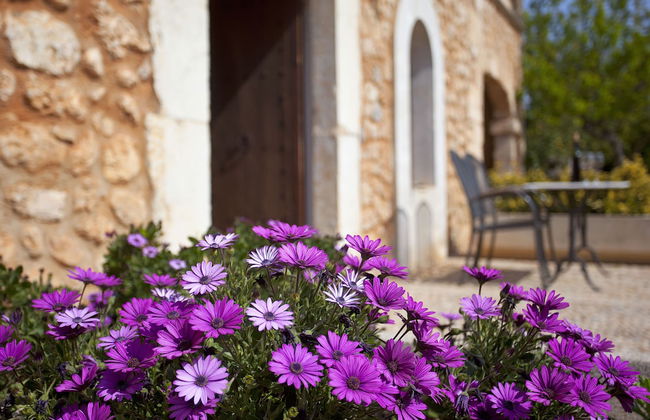 Agroturismo Es Quatre Cantons - Foto 45