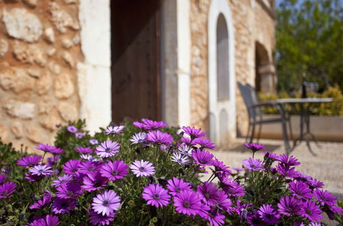 Photo 39 - Agroturismo Es Quatre Cantons