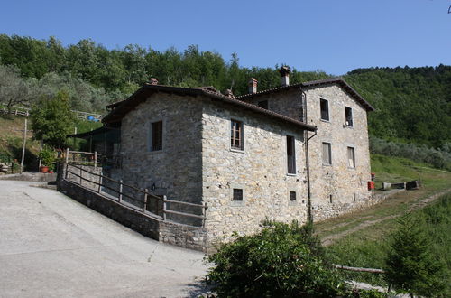 Photo 1 - Le Chianine dei Tognoli