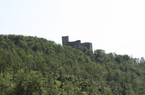 Photo 23 - Le Chianine dei Tognoli