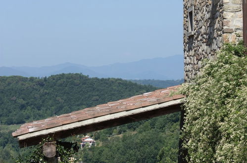 Photo 21 - Le Chianine dei Tognoli