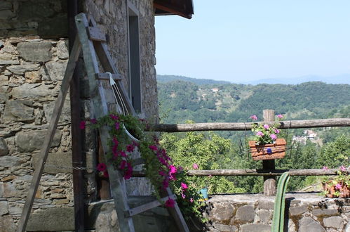 Photo 20 - Le Chianine dei Tognoli