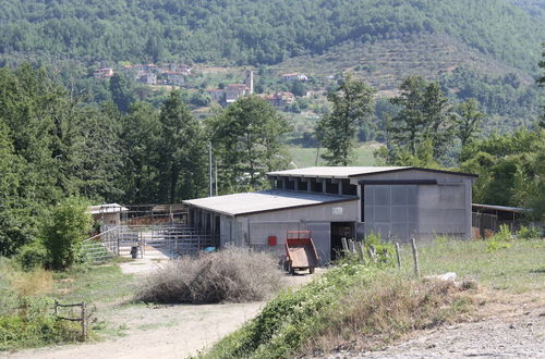 Photo 22 - Le Chianine dei Tognoli