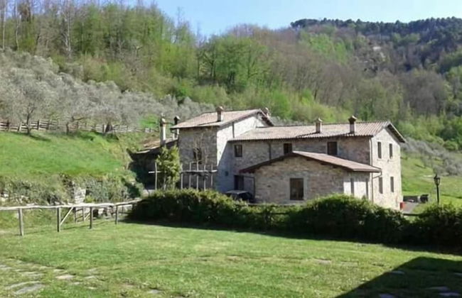 Le Chianine dei Tognoli - Foto 28