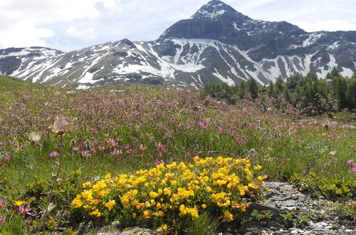 Photo 8 - Rifugio Ca Runcasch