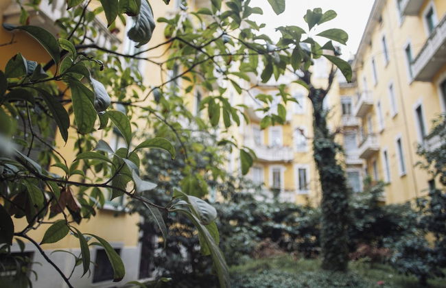 Italianway - Vivaio - Foto 26