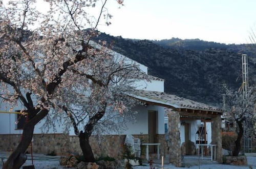 Photo 33 - Casa Rural Cortijo El Helao