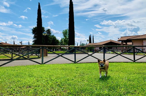 Photo 55 - Casa in Maremma Tuscany Village