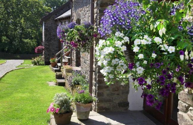 Birchill Farm Holiday Cottages - Foto 51