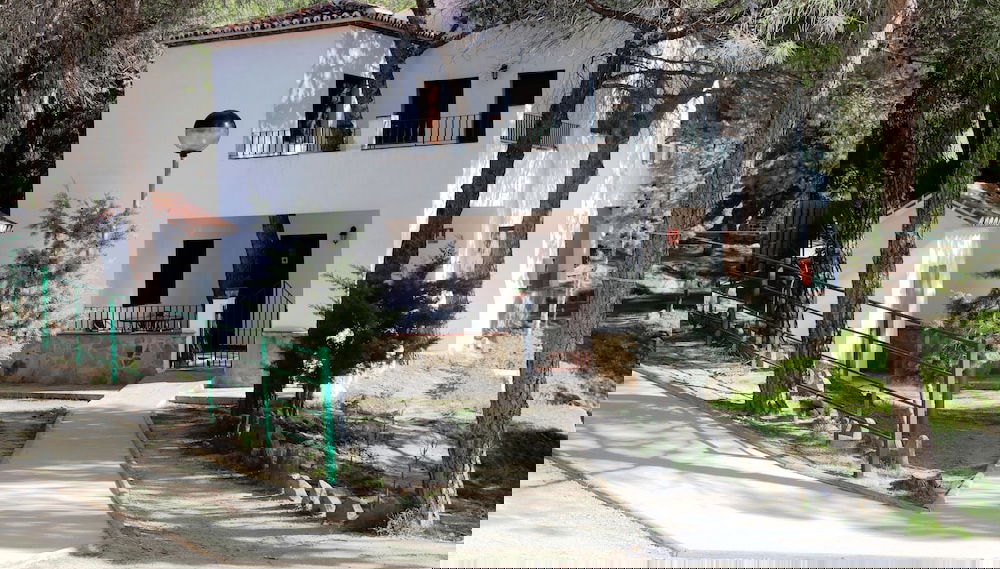 Imagem principal