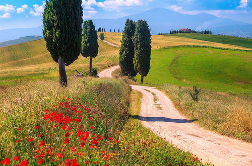 Photo 24 - Cozy Home D'orcia With Private Pool