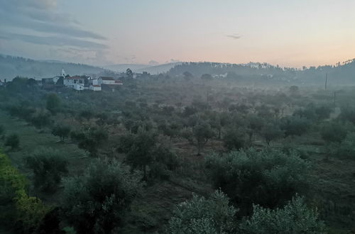 Photo 16 - 400 Year old 3-bedroom Farmhouse Central Portugal