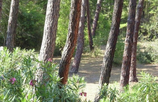 Holiday Home Grosseto Near Uccellina Beaches - Foto 22