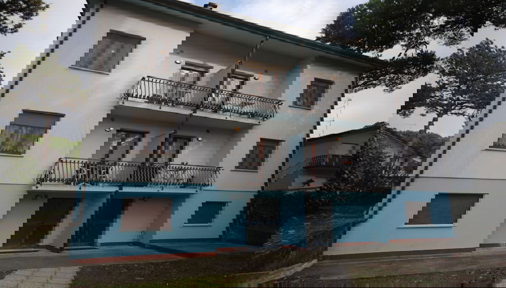 Imagem principal