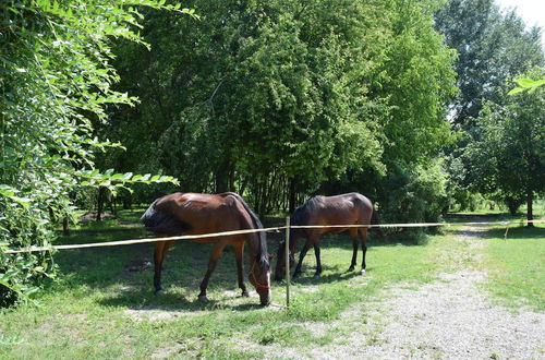 Photo 34 - Agriturismo Tre Rondini