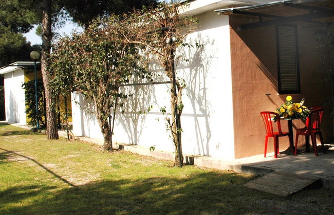 Parco delle Viole - Foto 66