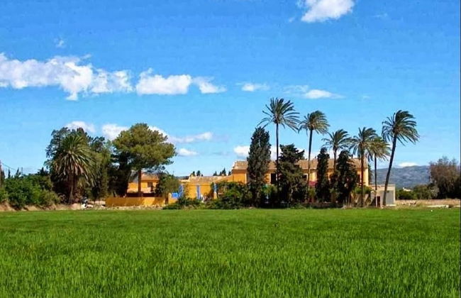 Mas De Bernis 1888 - Foto 30