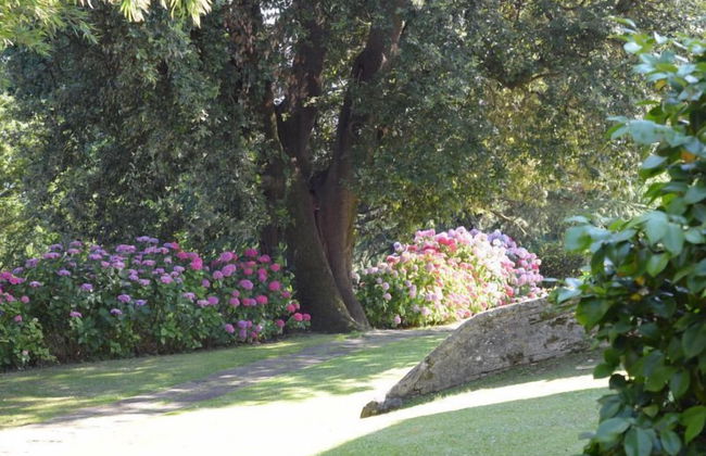 Agriresort & Spa Fattoria I Ricci - Foto 96