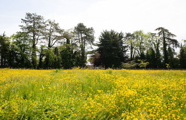 Brookhall Cottages - Foto 42