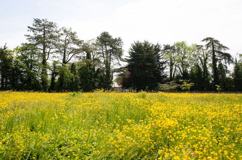 Photo 36 - Brookhall Cottages