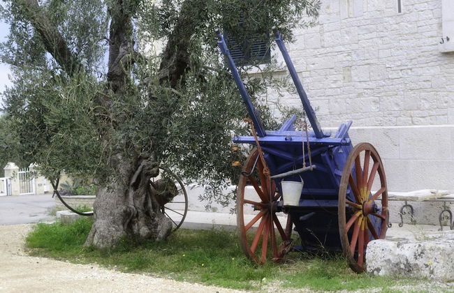 Tenuta Lama Gorga - Foto 32