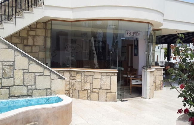 Zera Bodrum - Foto 2