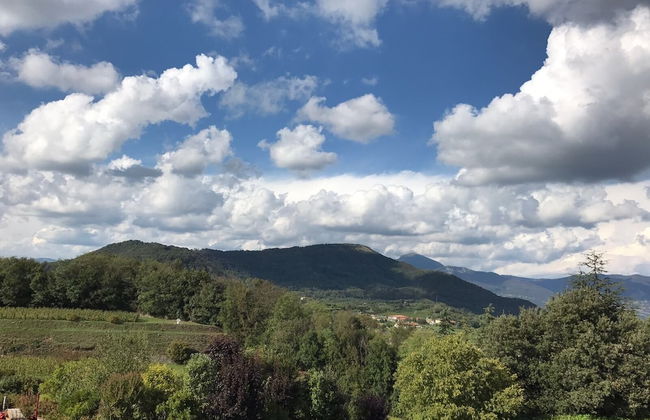 Appartamento Franciacorta - Foto 44