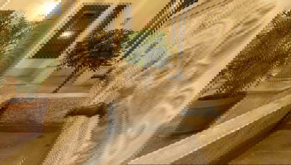 Imagem principal