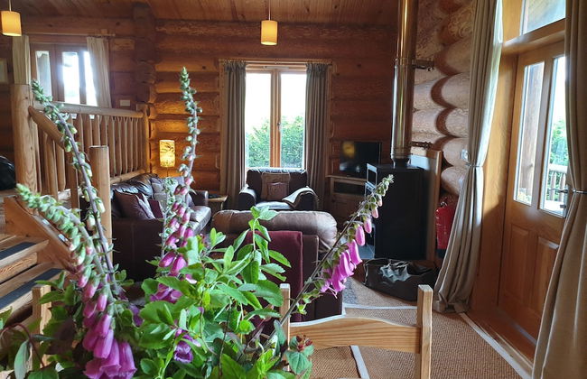 Newland Valley Log Cabins - Foto 55