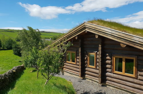 Foto 74 - Newland Valley Log Cabins