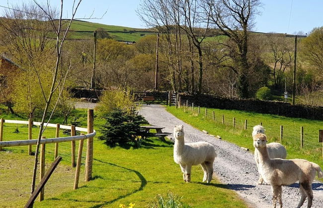 Newland Valley Log Cabins - Foto 34