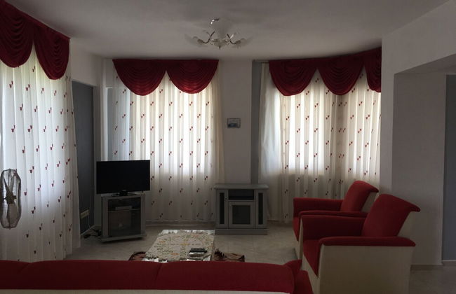 Tiger House - Photo 9