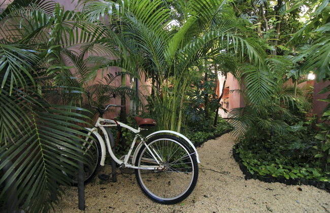 Mi Querido Tulum Apartamentos - Foto 20