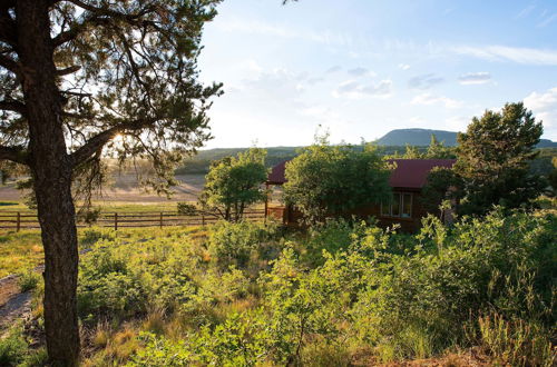 Photo 27 - Zion Mountain Ranch