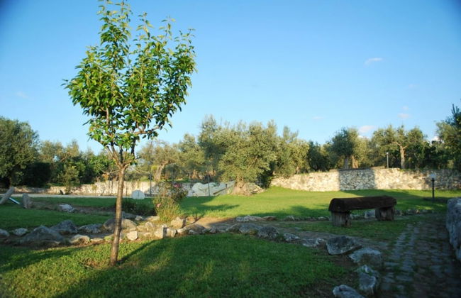 Dante Pino in Tocco da Casauria - Foto 11