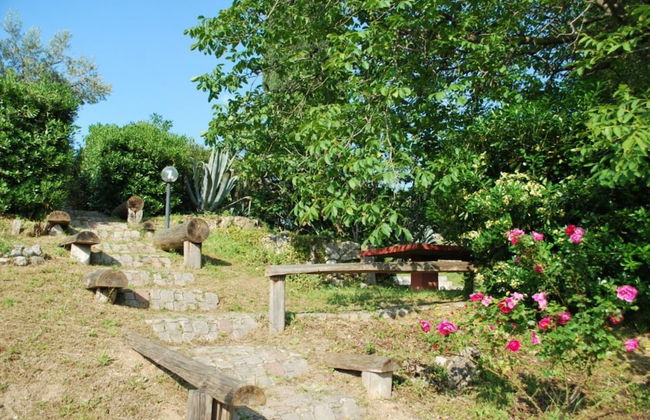 Dante Pino in Tocco da Casauria - Foto 4