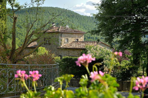 Photo 43 - Agriturismo Giusi e Dario